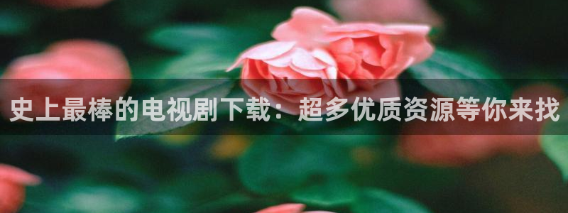 史上最棒的电视剧下载：超多优质资源等你来找
