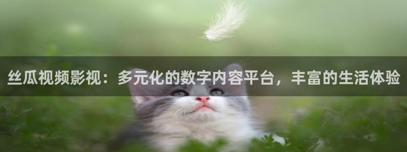 丝瓜视频影视：多元化的数字内容平台，丰富的生活体验