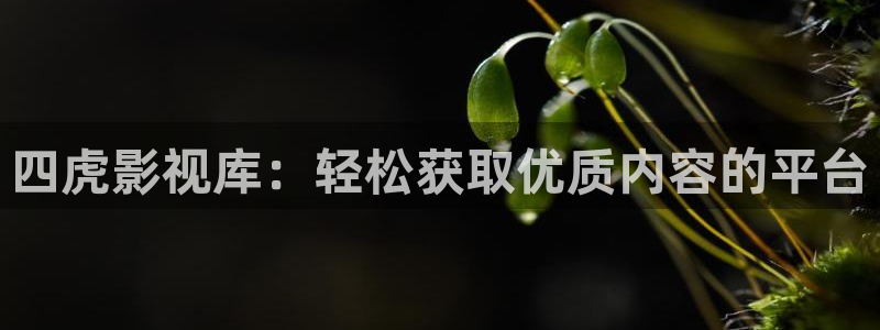 四虎影视库：轻松获取优质内容的平台