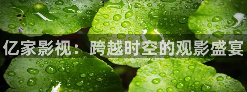亿家影视：跨越时空的观影盛宴