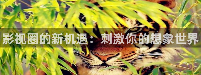 影视圈的新机遇：刺激你的想象世界