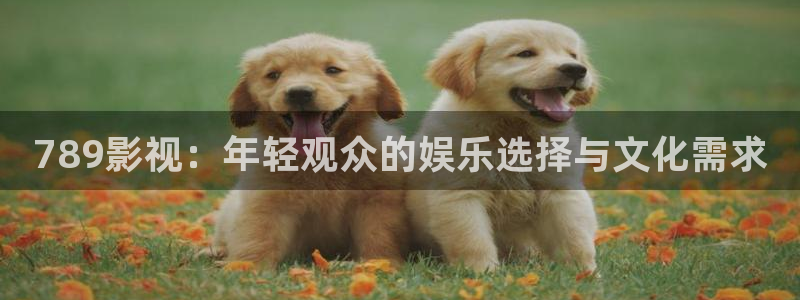 789影视：年轻观众的娱乐选择与文化需求