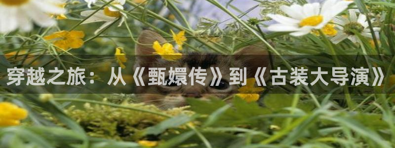 穿越之旅：从《甄嬛传》到《古装大导演》
