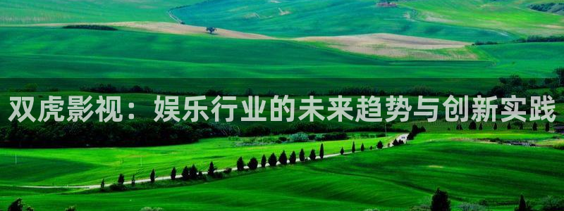 双虎影视：娱乐行业的未来趋势与创新实践