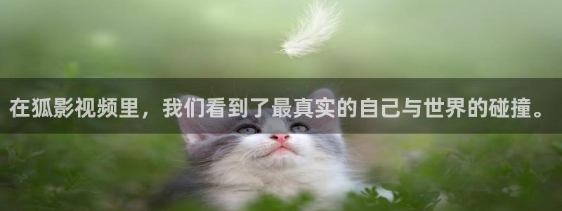 在狐影视频里，我们看到了最真实的自己与世界的碰撞。